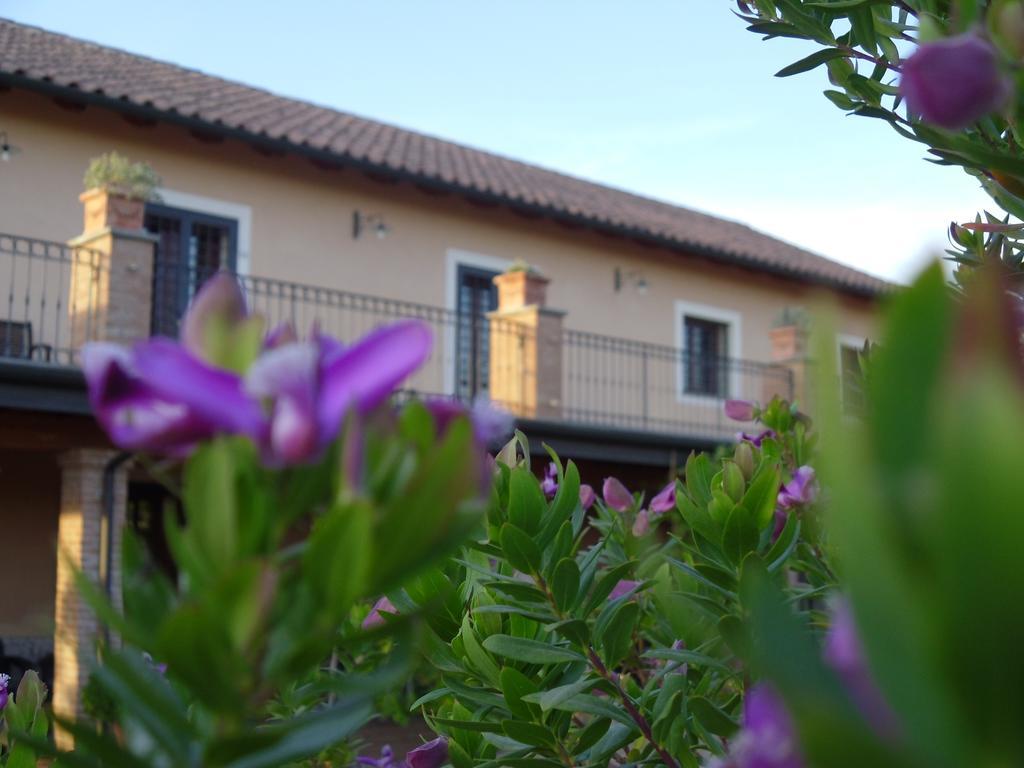 Luxardotel Rome Bagian luar foto