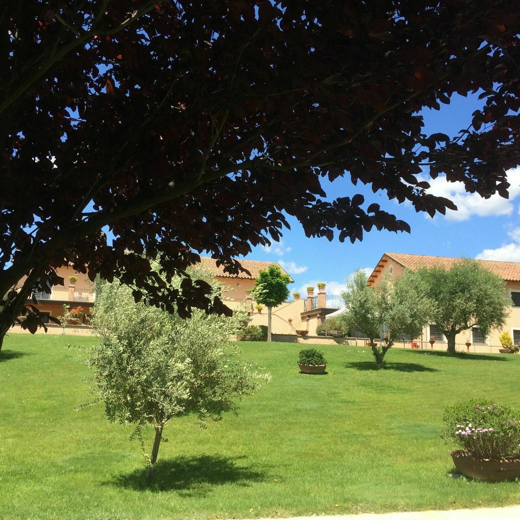 Luxardotel Rome Bagian luar foto